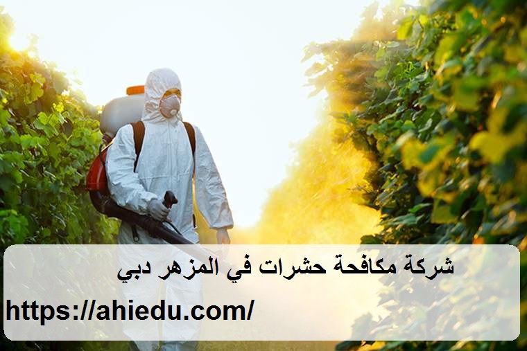 شركة مكافحة حشرات في المزهر دبي