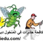 شركة مكافحة حشرات في المنخول دبي