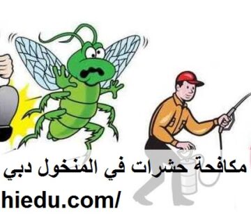 شركة مكافحة حشرات في المنخول دبي