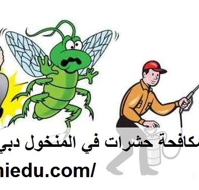 شركة مكافحة حشرات في المنخول دبي
