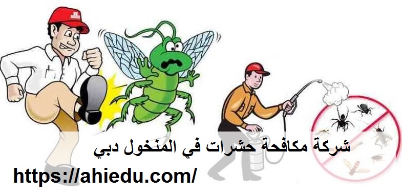 شركة مكافحة حشرات في المنخول دبي