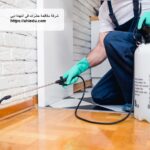 شركة مكافحة حشرات في النهدة دبي