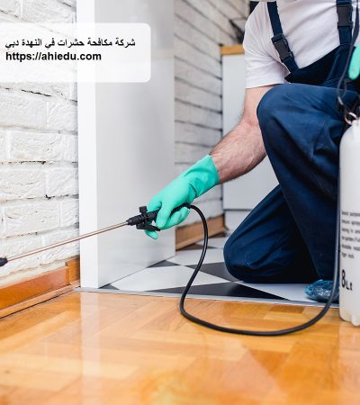 شركة مكافحة حشرات في النهدة دبي