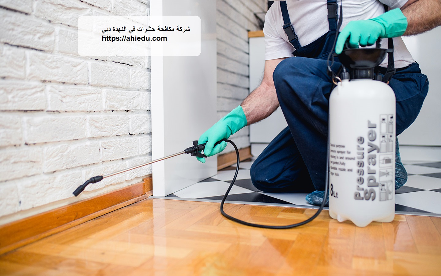 شركة مكافحة حشرات في النهدة دبي