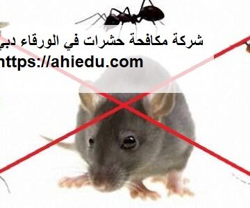 شركة مكافحة حشرات في الورقاء دبي
