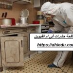 شركة مكافحة حشرات في ام القيوين