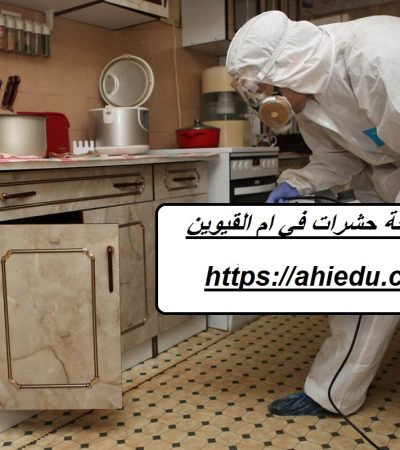 شركة مكافحة حشرات في ام القيوين