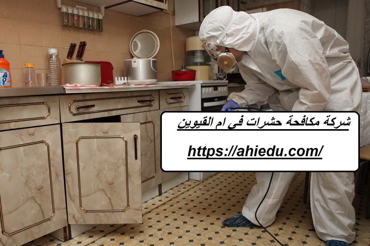 شركة مكافحة حشرات في ام القيوين