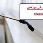 شركة مكافحة حشرات في خورفكان