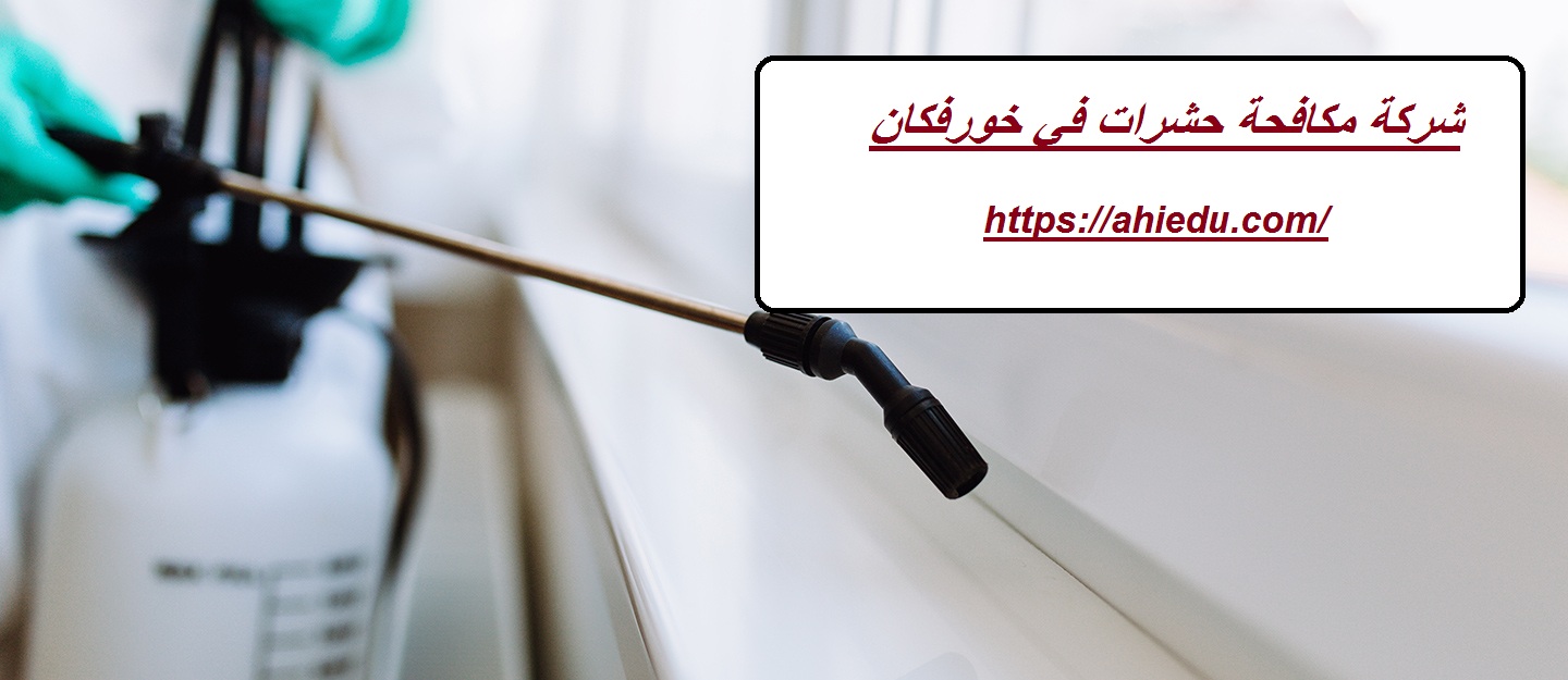 شركة مكافحة حشرات في خورفكان