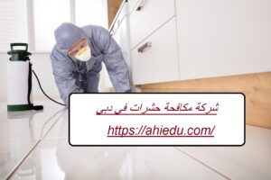 شركة مكافحة حشرات في دبي 