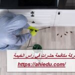 شركة مكافحة حشرات في راس الخيمة