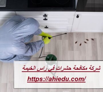 شركة مكافحة حشرات في راس الخيمة