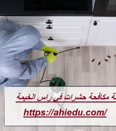 شركة مكافحة حشرات في راس الخيمة