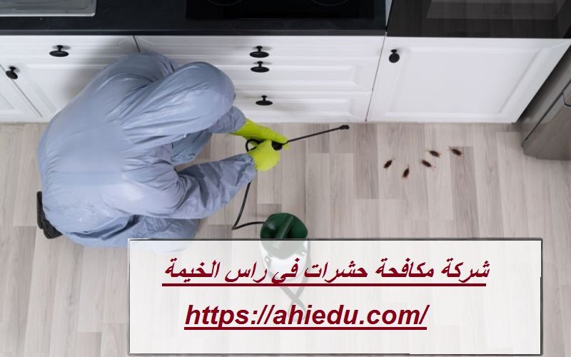 شركة مكافحة حشرات في راس الخيمة