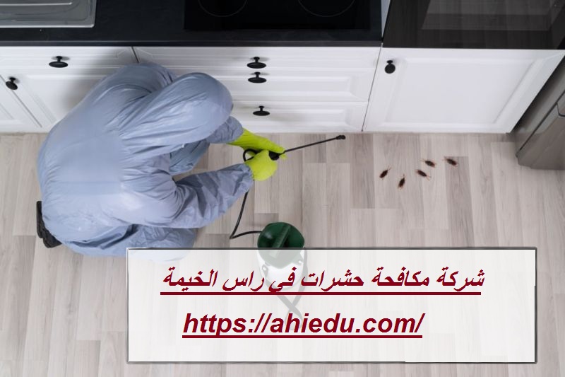 شركة مكافحة حشرات في راس الخيمة