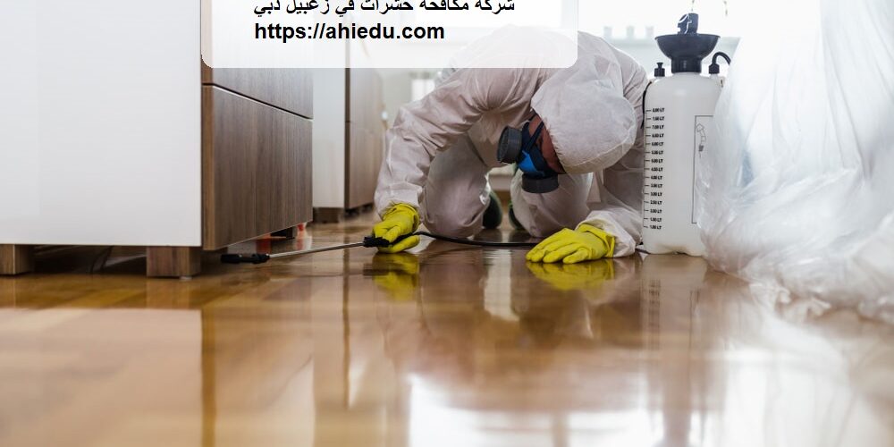 شركة مكافحة حشرات في زعبيل دبي