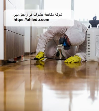 شركة مكافحة حشرات في زعبيل دبي