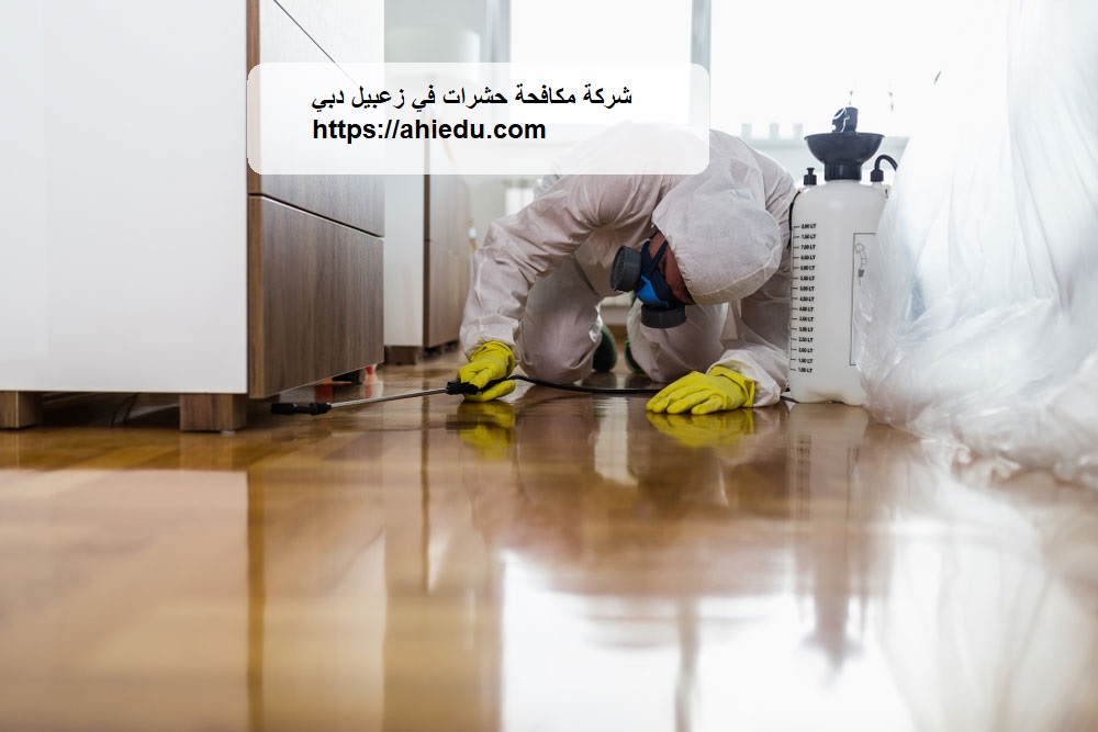 شركة مكافحة حشرات في زعبيل دبي