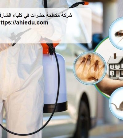 شركة مكافحة حشرات في كلباء الشارقة