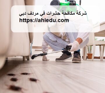 شركة مكافحة حشرات في مردف دبي