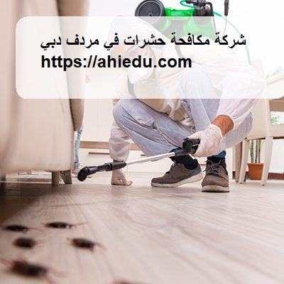 شركة مكافحة حشرات في مردف دبي