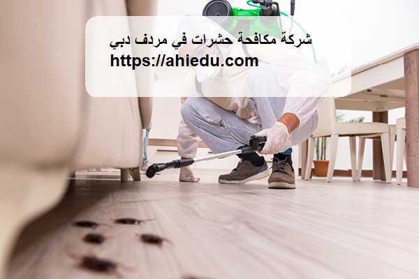 شركة مكافحة حشرات في مردف دبي